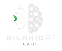 BilakidAI Labs